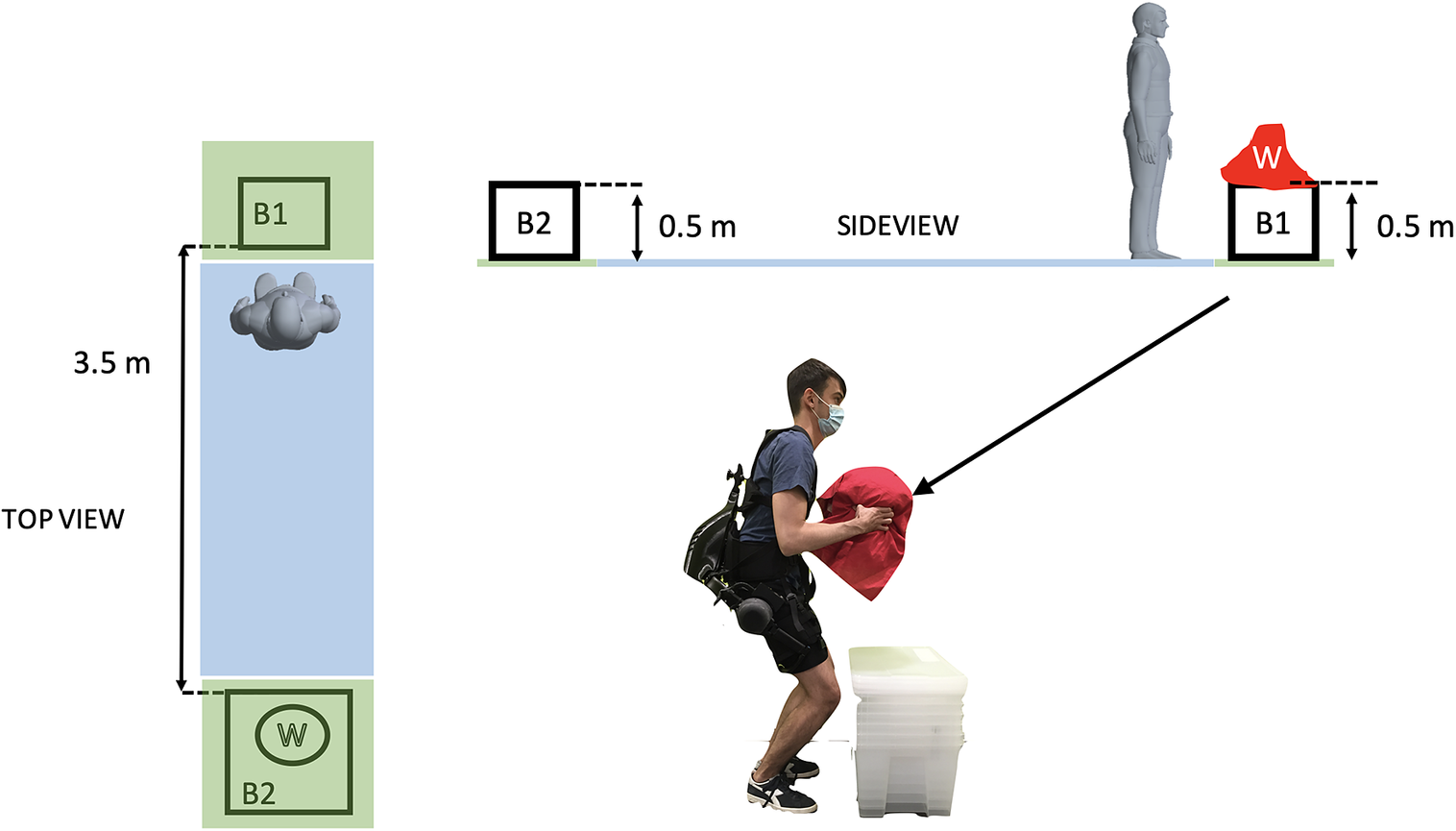 Versatile and non-versatile occupational back-support exoskeletons: A  comparison in laboratory and field studies | Wearable Technologies |  Cambridge Core