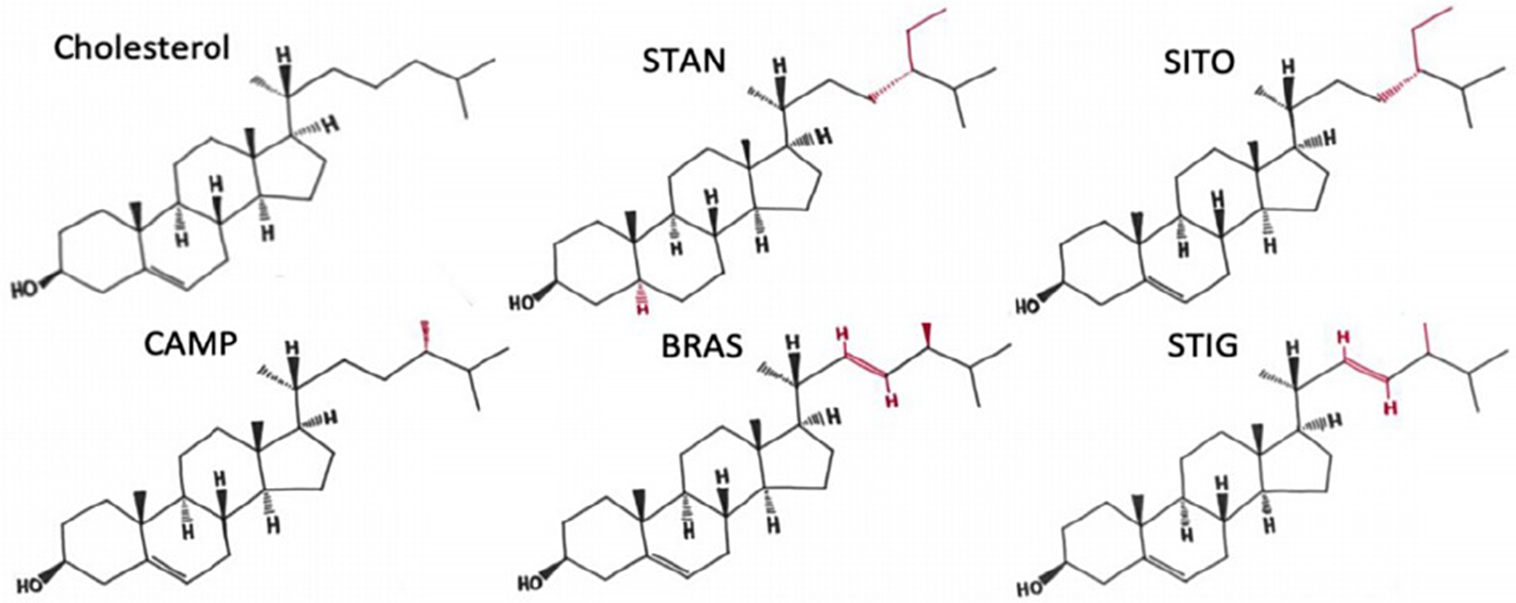 Phytosterol and phytostanol-mediated epigenetic changes in cancer and ...