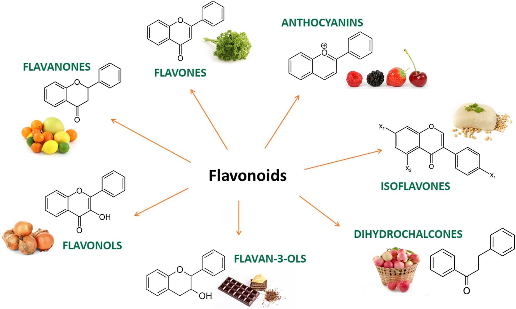 Dietary (poly)phenols and cardiometabolic health: from antioxidants to ...