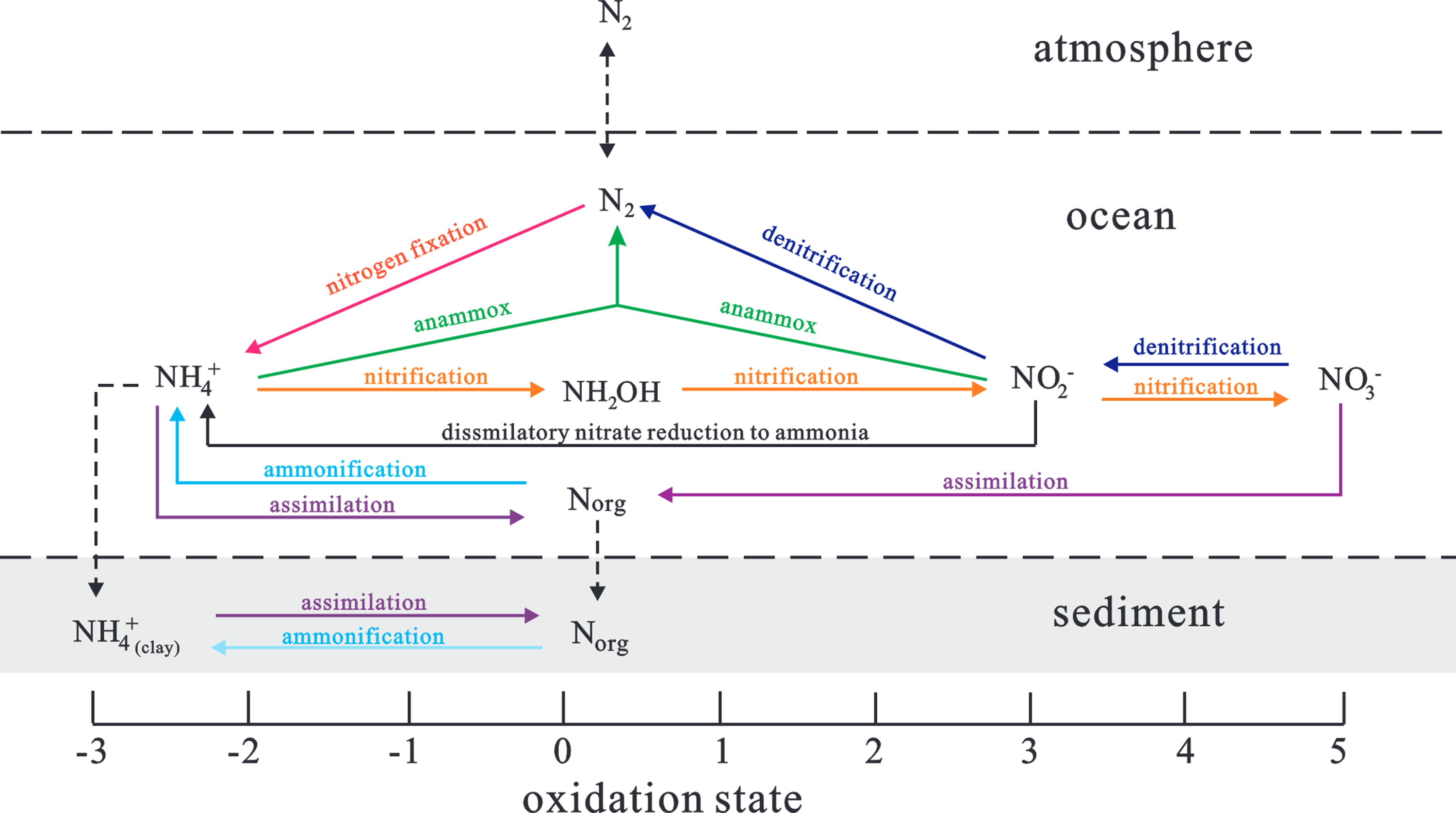 Fluctuation in redox conditions and the evolution of early 