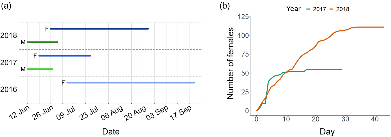 Nesting biology and nest structure of the exotic bee Megachile sculpturalis  | Bulletin of Entomological Research | Cambridge Core