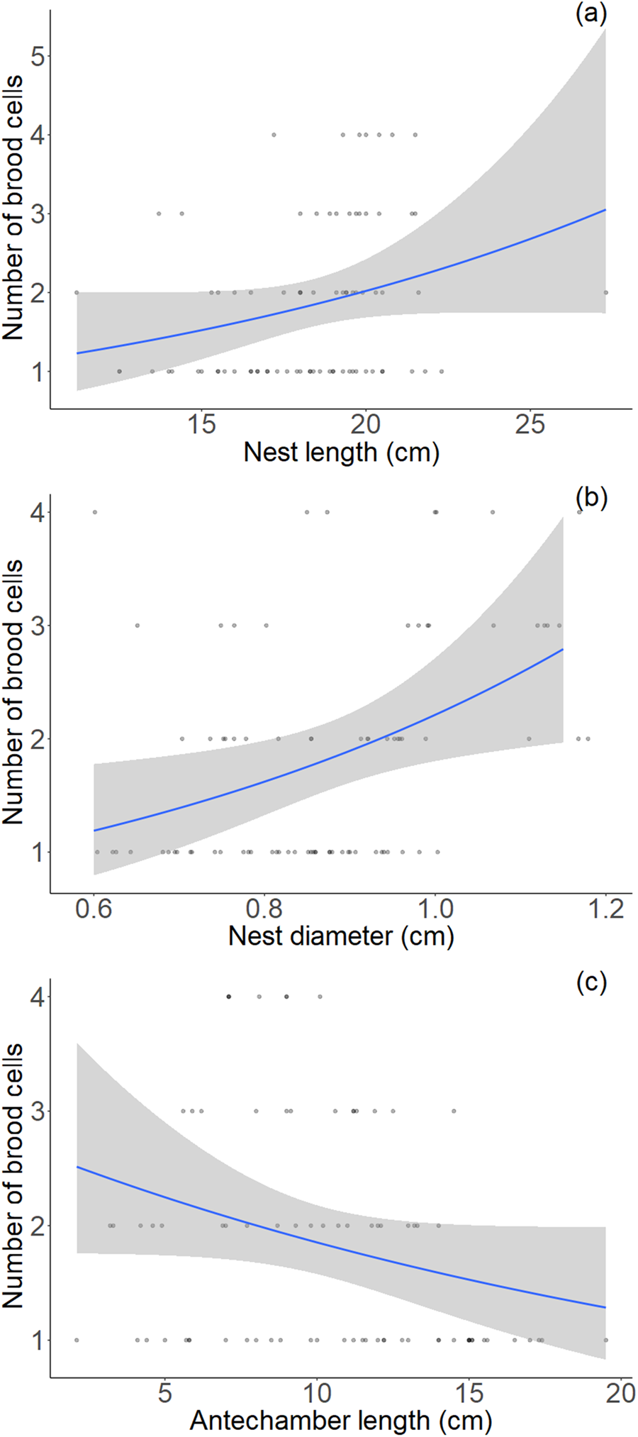 Nesting biology and nest structure of the exotic bee Megachile sculpturalis  | Bulletin of Entomological Research | Cambridge Core