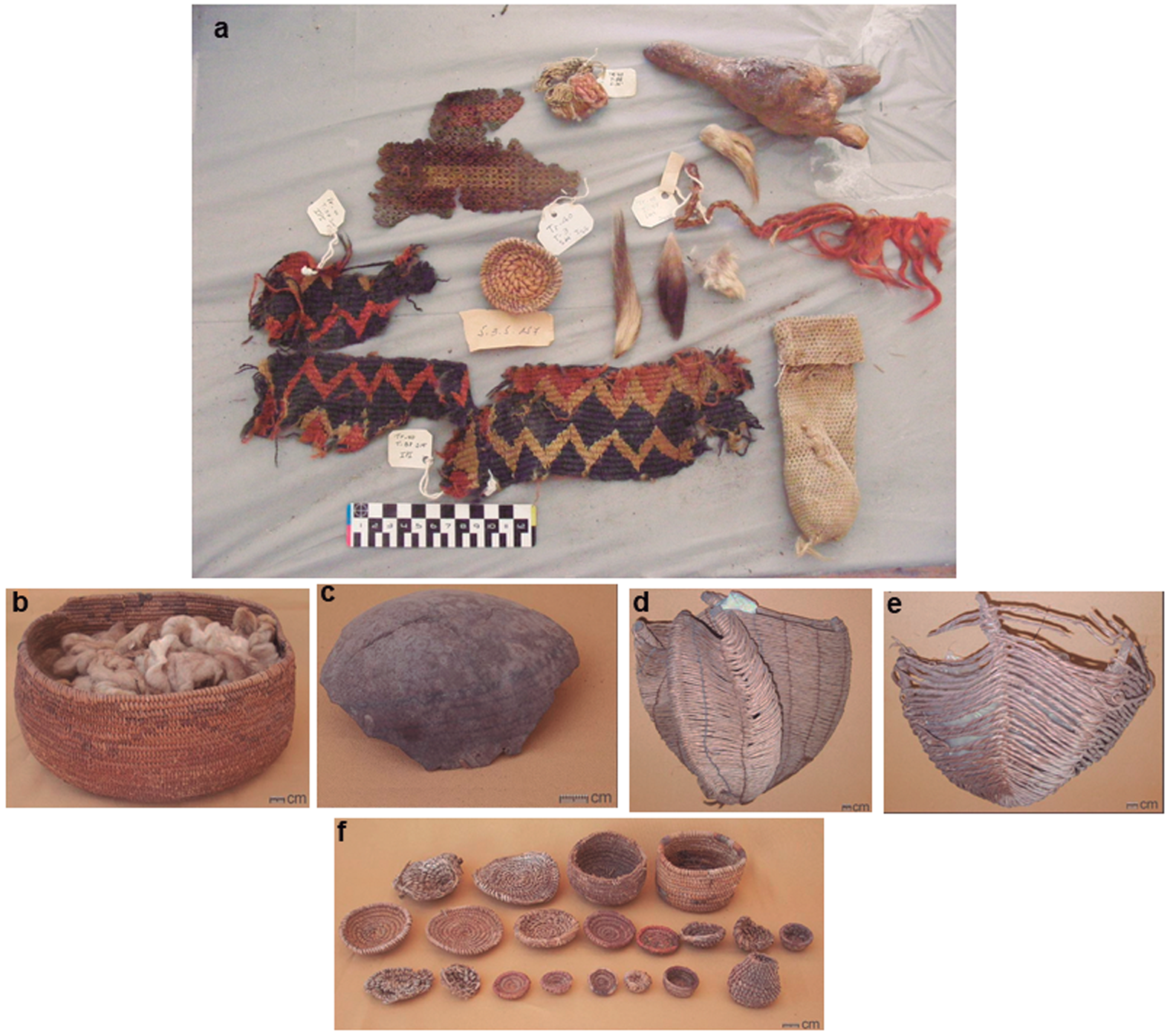 Physical Violence and Social Tension in the Atacama Desert: Osteobiography  of a Woman from the Tarapacá 40 Formative Period Cemetery | Latin American  Antiquity | Cambridge Core