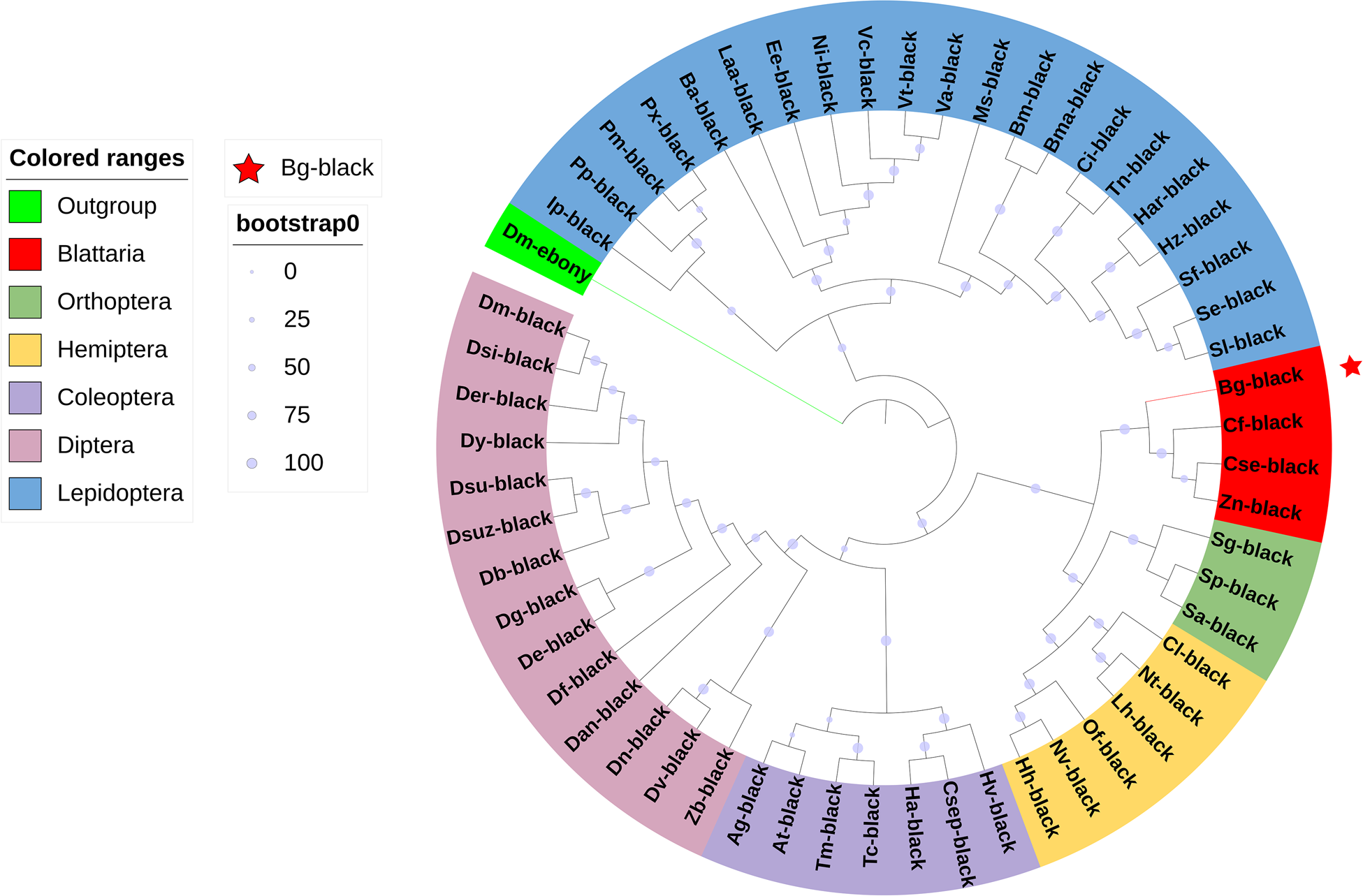 The melanin pigment gene black mediates body pigmentation and courtship  behaviour in the German cockroach Blattella germanica | Bulletin of  Entomological Research | Cambridge Core