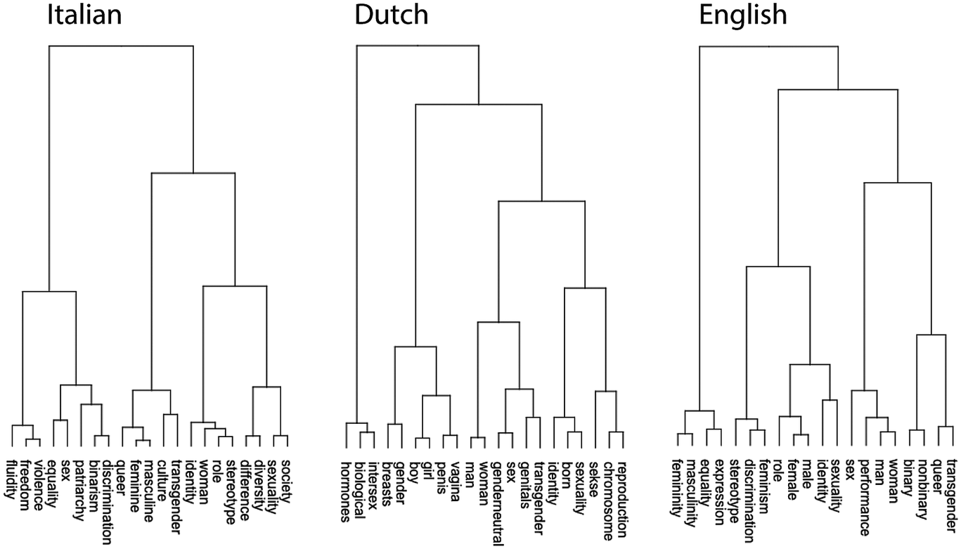 cultural construction of gender essay