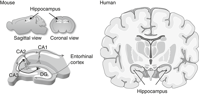 Figure 0