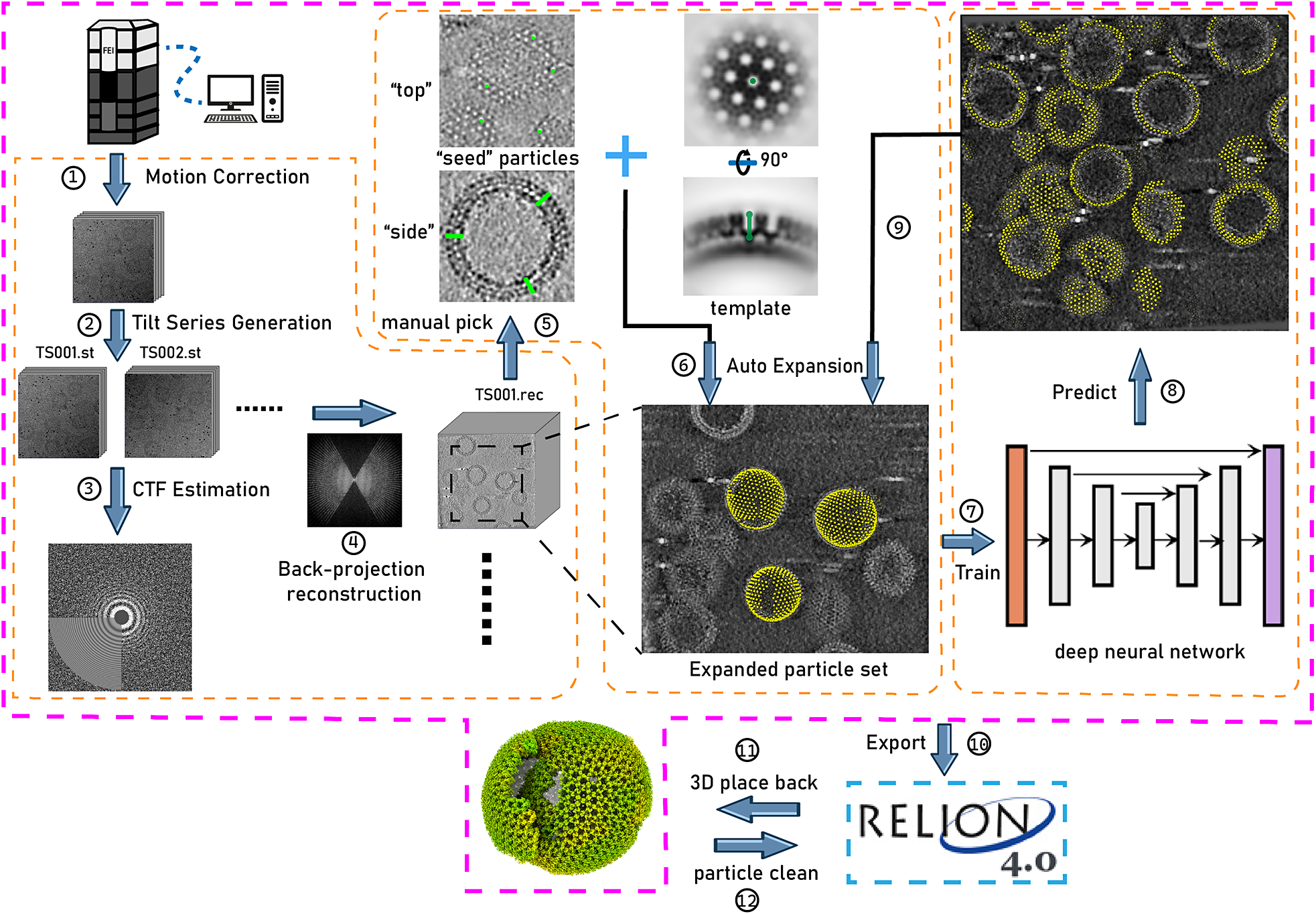 TomoNet: A streamlined cryogenic electron tomography software pipeline ...