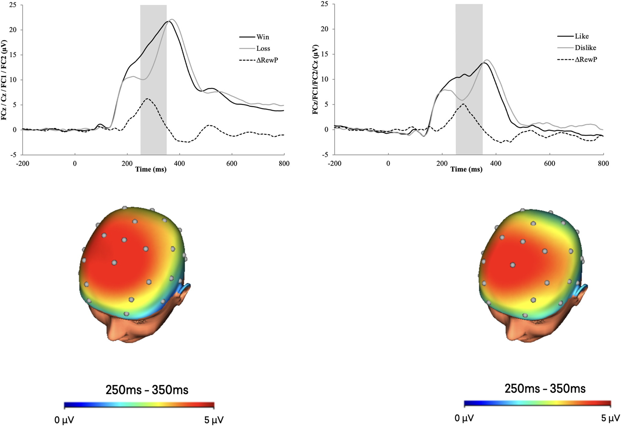 Neural response to monetary and social rewards and familial risk  