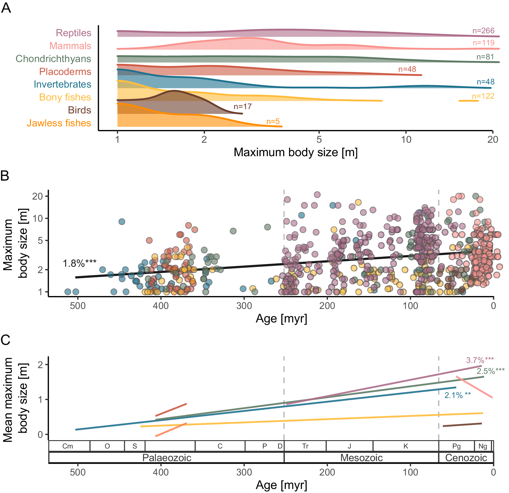 The Extinct Marine Megafauna Of The Phanerozoic | Cambridge Prisms ...