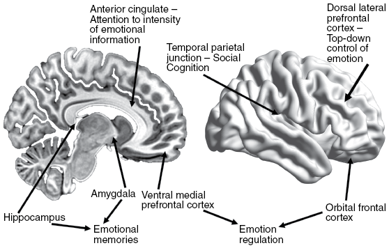 Figure 0