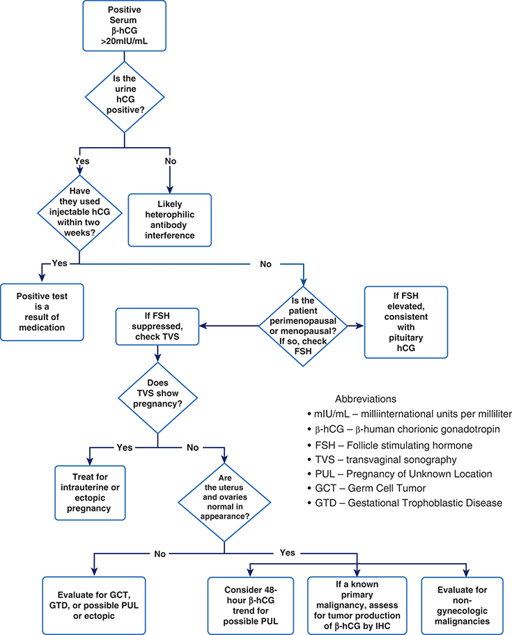 Nonpregnant and False-Positive Causes of -hCG Elevation (Chapter 9) -  Caring for the Female Cancer Patient