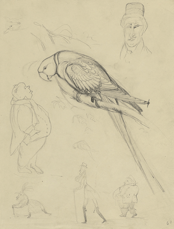 central naturalistic drawing of a parrot surrounded by carnivalesque doodles of pompous human figures.