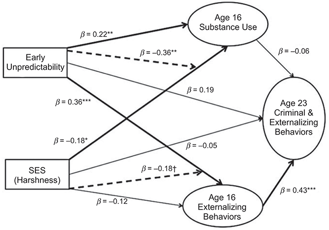 A longitudinal model illustrating how childhood environmental harshness and unpredictability influence age-23 criminal and externalizing behaviors, mediated by substance use and externalizing behaviors at age 16. See long description.