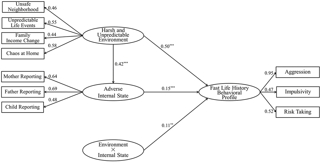 A structural model examining the effects of childhood environmental harshness and unpredictability, children’s adverse internal states, and their interaction on adolescents’ fast life history behavioral profiles. See long description.