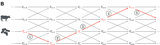 Content in image described in text.