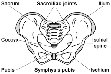 Figure 0