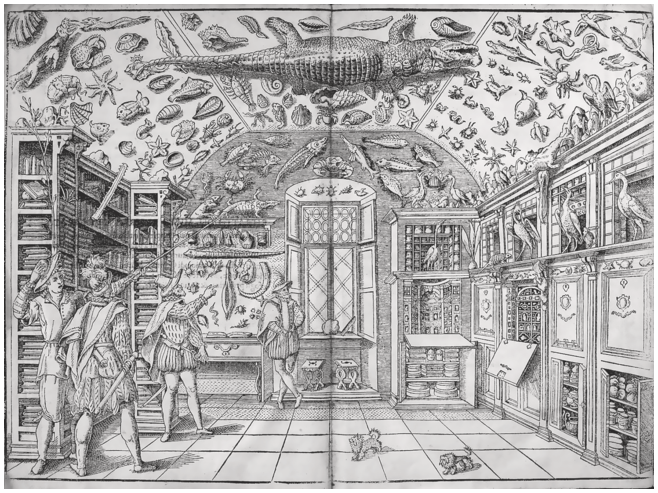 An illustration of a room displaying various animal specimens and books with four men observing them. See long description.
