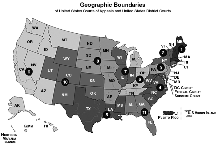 Map of the U.S. showing the 11 regional circuits of the U.S. Courts of Appeals, each covering specific states. Circuits are numbered 1 through 11, spanning all 50 states across distinct regional groupings.