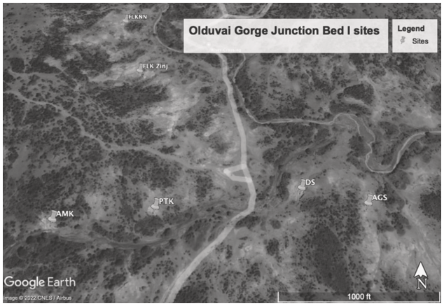 A satellite view of the Olduvai Gorge Junction bed 1 sites. The sites marked are A M K, A G S, D S, P T K, F L K N N, and F L K Zinj.