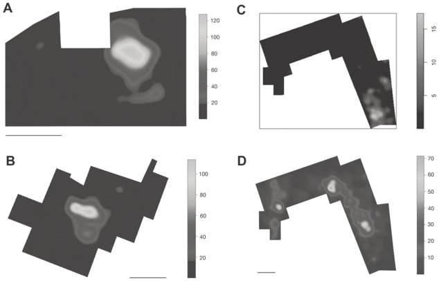 Four kernel maps present the intensity distribution in F L K Zinj in A, P T K in B, D S 22 a level in C, and D S 22 b level in D. See long description.