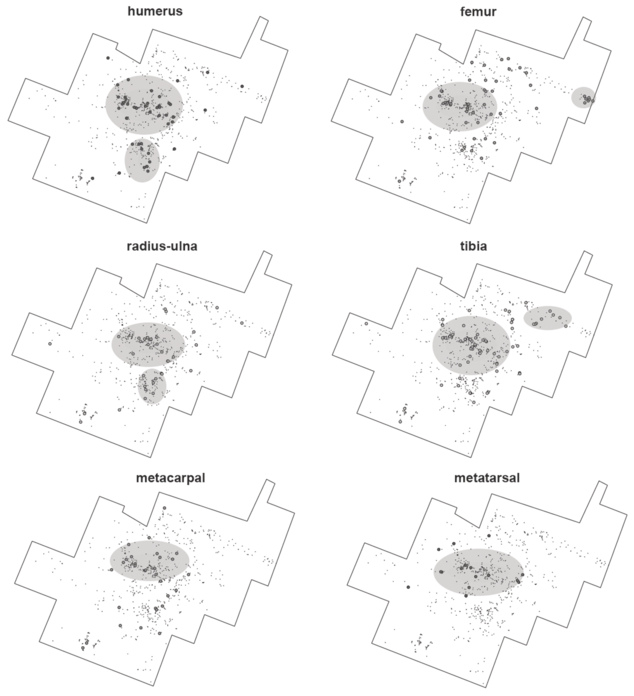 Six spatial distribution maps for the humerus, femur, radius-ulna, tibia, metacarpal, and metatarsal. See long description.