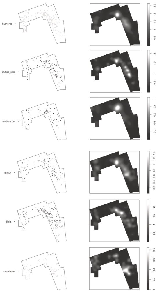 A series of six pairs of plots, each pair representing a different long limb bone from medium-sized carcasses at the D S site. See long description.