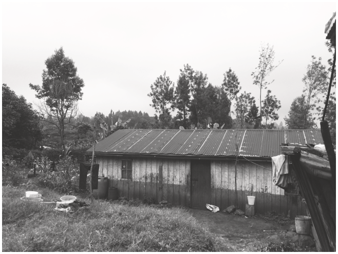 A photo of a single-storey building, with wooden walls and corrugated iron roof in a rural setting. It is bordered by a crop garden and an outbuilding for cooking. A plastic bucket for washing clothes lies on the garden in front of the building.
