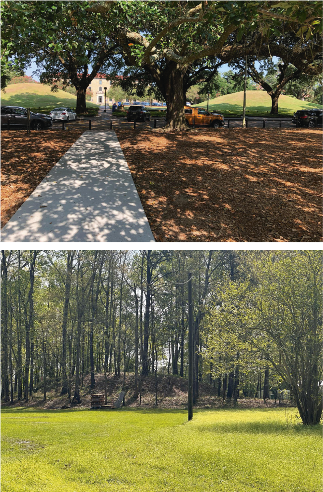 Photograph of trees and shadows in the foreground and, in the background, large, raised, rounded earthen mounds that rise roughly 10 feet at their highest point.