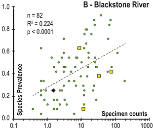 This figure consists of a scatter plot that illustrates the relationship between species abundance  in bulk samples at two sites and global species prevalence. See long description.