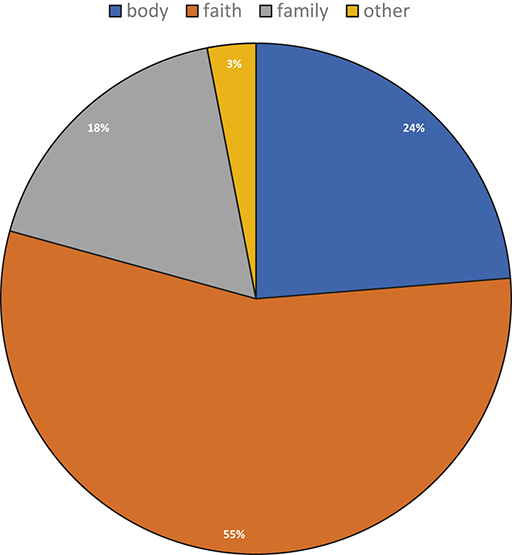 A pie chart displays four categories in descending order of proportion: 55% “faith”, 24% “body”, 18% “family”, and 3% “other”. “Faith” is the dominant category, with the others making up smaller portions.