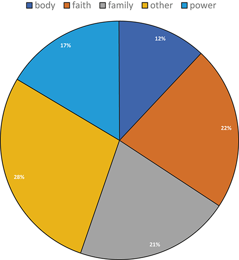 A pie chart displays five categories in descending order of proportion: 28% “other”, 22% “faith”, 21% “family”, 17% “power”, and 12% “body”. “Other” is the largest category, with the rest distributed more evenly.