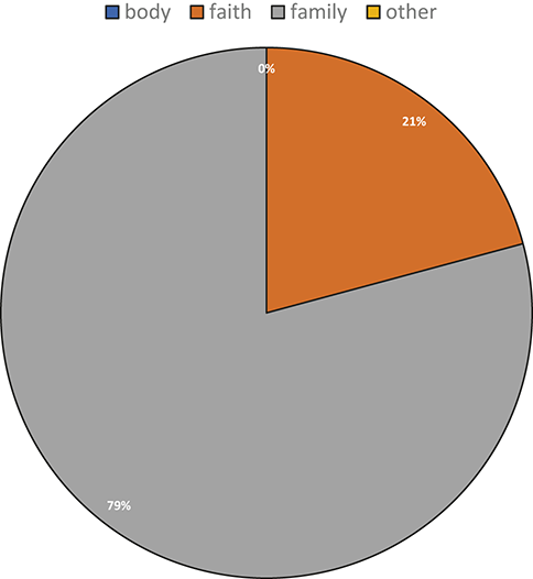 A pie chart displays four categories in descending order of proportion: 79% “faith”, 21% “family”, and 0% each for “body” and “other”. “Faith” is the dominant category, followed by “family”, with no representation for “body” and “other”.
