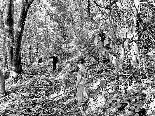 Several primary school children walk along a leafy path through lush vegetation. Nearby bushes and trees are hung with fabric flags and dappled with sunlight.
