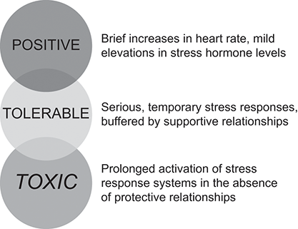 Three overlapping circles labelled positive, tolerable, and toxic are accompanied by descriptions of different levels of physiological responses to stress. See long description.