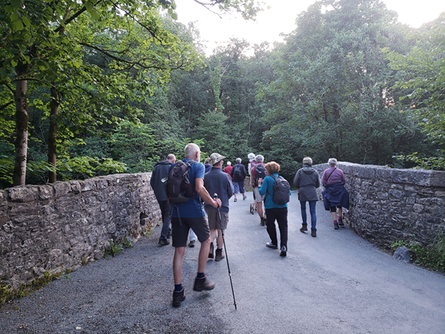 A group of men and women rambling. They are walking away from the camera, on a single-track road between the stone walls of a bridge; beyond the walls are lush green trees.