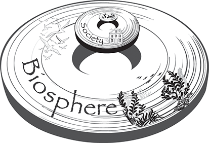 Illustration of a circular, disk-like object composed of concentric rings. See long description.