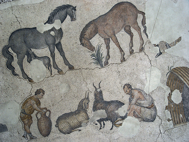 A scene from the peristyle depicting shepherds dressed in tunics taking care of some woolly goats.