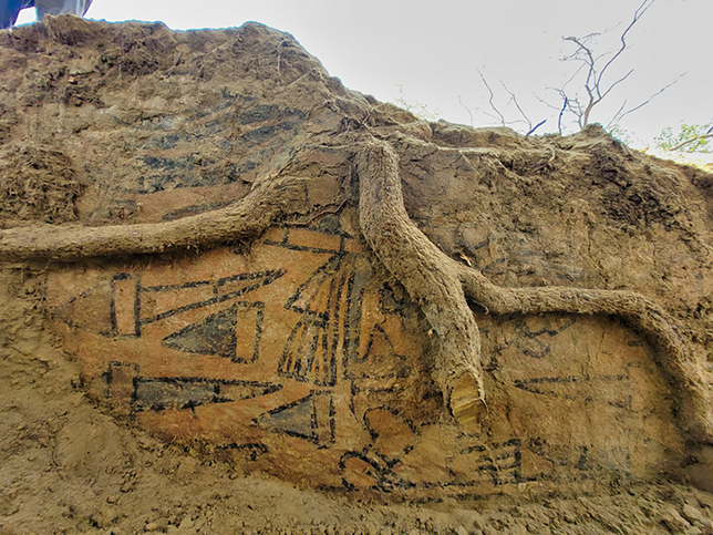 A mural detail showing damage to the warrior’s face caused by invasive plant roots.