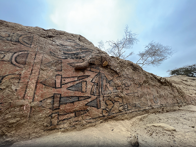 A wide view of the mural panel after the full wall was gently uncovered.