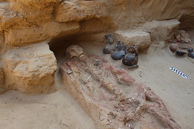 A burial of a Middle Lambayeque individual accompanied by two Huaco Rey ceramic figures.