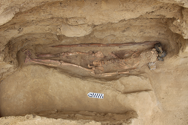 Inca-period burial, including a wooden stick used in traditional chicha brewing.