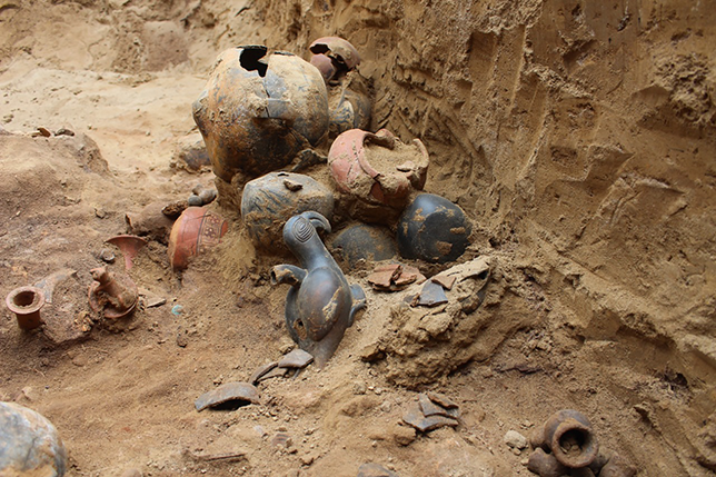 A close-up of burial offerings showing ceramics, including one shaped like a parrot.