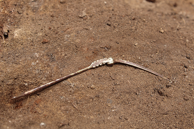A golden lime pallet used by the Inca to insert limestone in his mouth while chewing coca leaves. It is L-shaped and one edge is sharp.