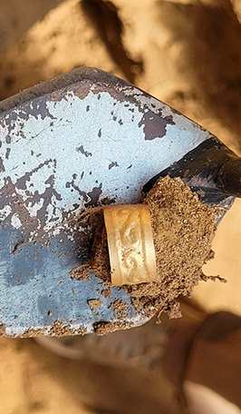 A golden ring decorated with subtle snake-like patterns.