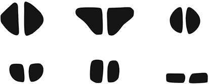 Profile drawings of the six basic types of spindle whorls found in Aegean Bronze Age excavations. Based on the profile shape, these types are called the biconical, the conical, the spherical, the hemispherical, the cylindrical and the discoid.