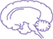 An icon of a human brain.