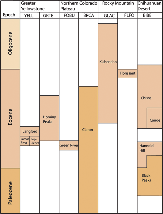 Colored grid illustrating the temporal distribution of paleobotanical resources in Intermountain Region National Parks at the epoch level and their significance.