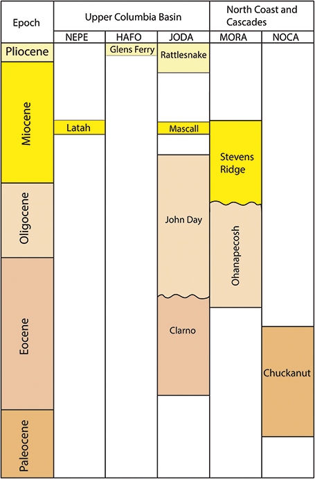Chart showing the stratigraphic correlation between formations of Tertiary age preserving fossil plants in the Upper Columbia Basin and Northern Coast and Cascades Inventory and Monitoring Networks.