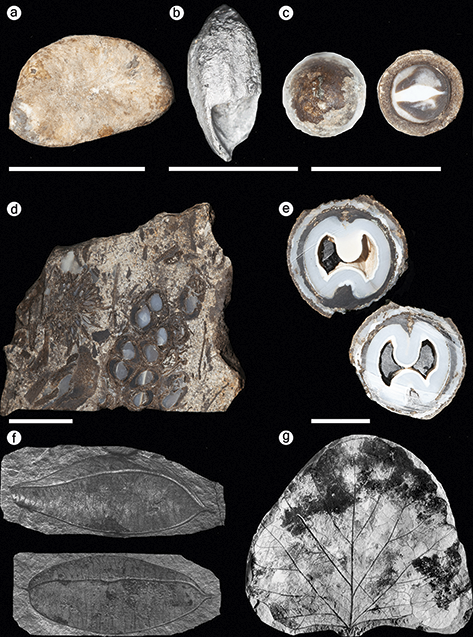 Content of image described in text.