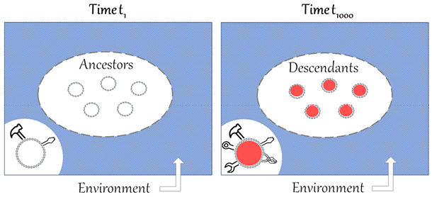 Two ovals inside the rectangles represent ancestors and descendants. Within the ovals are five circles. At time 1, the circles have only two tools, a hammer and a key. At time 1000, the circles have five different tools.